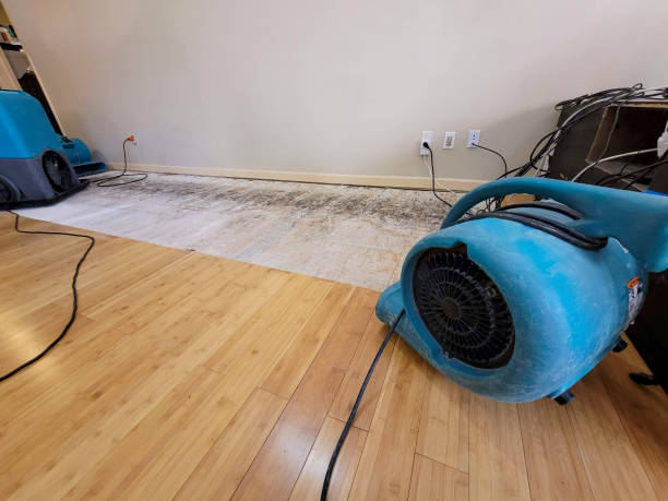 Professional Water Removal technician working in Blackburn, MO